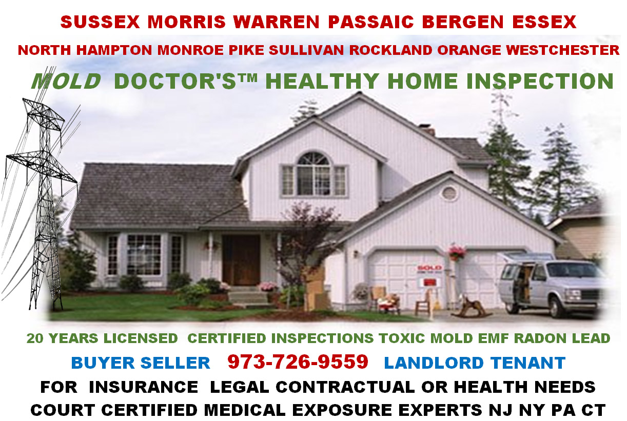 certifiedclinical hygienst, toxic mold,attic basement mold remediaion, removal and water damage remediation cost